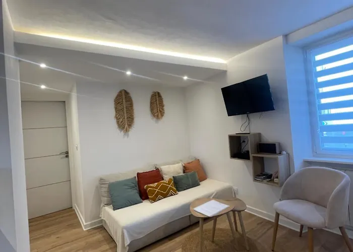 « a Deux Pas De La Petite Venise » Apartment Colmar